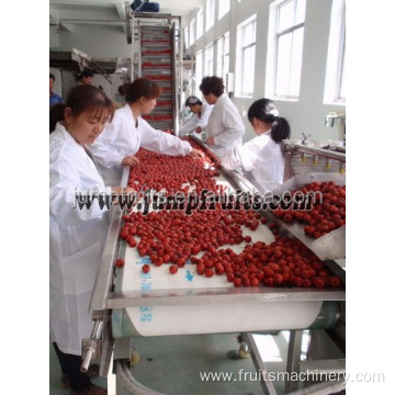 Red Dates Processing Line With High Output